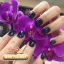 Star-Nails-Nail-salon-in-North-Charleston-SC-29418-3