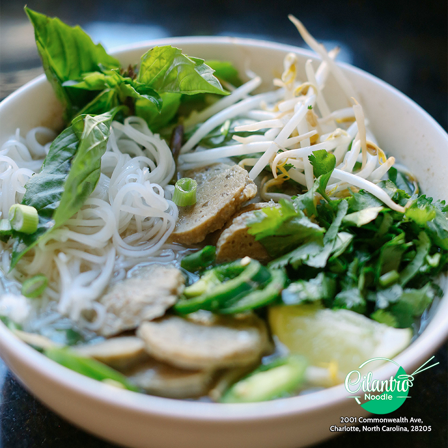 Cilantro Noodle : The ideal destination for the food lover | Creative ...